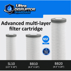 0.2 Micron Ultra Disruptor Pleated Wrap and Catalytic Carbon Core, Cartridge 0.2 Micron Ultra Disruptor Gaurdian pleated wrap and Catalytic Carbon core, Cartridge